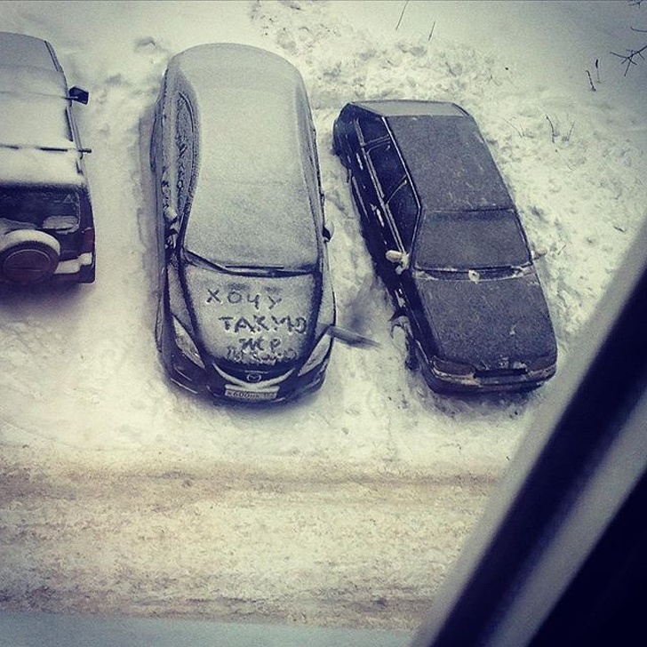 люди завидуют, животные завидуют 