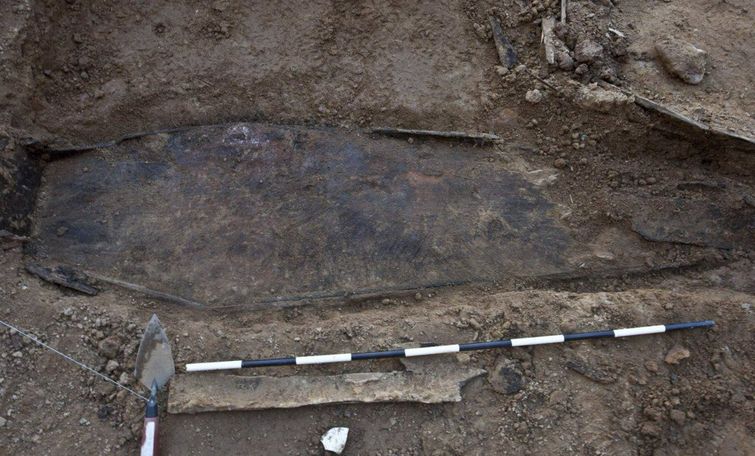 Строители нашли более 1000 человеческих зубов в стене здания, и это реальная история зубы в стене, строители нашли зубы в стене, откуда зубы в стене, 1000 зубов в стене