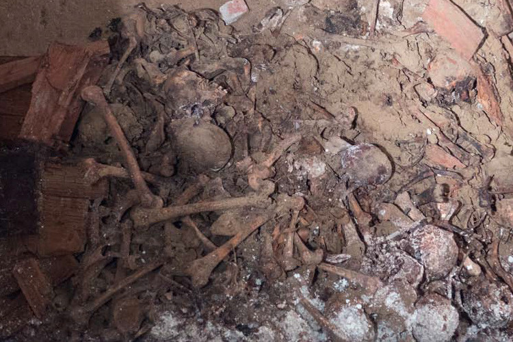 Строители нашли более 1000 человеческих зубов в стене здания, и это реальная история зубы в стене, строители нашли зубы в стене, откуда зубы в стене, 1000 зубов в стене