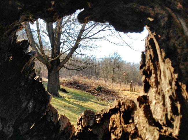  привычные вещи какими вы их ещё не видели, обычные вещи какими вы их ещё не видели