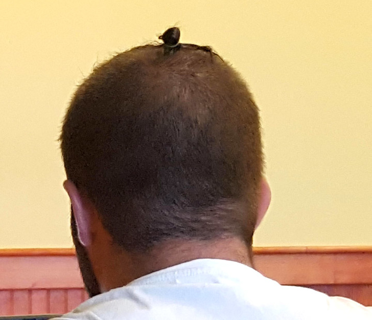 безумно нелепые и смешные причёски