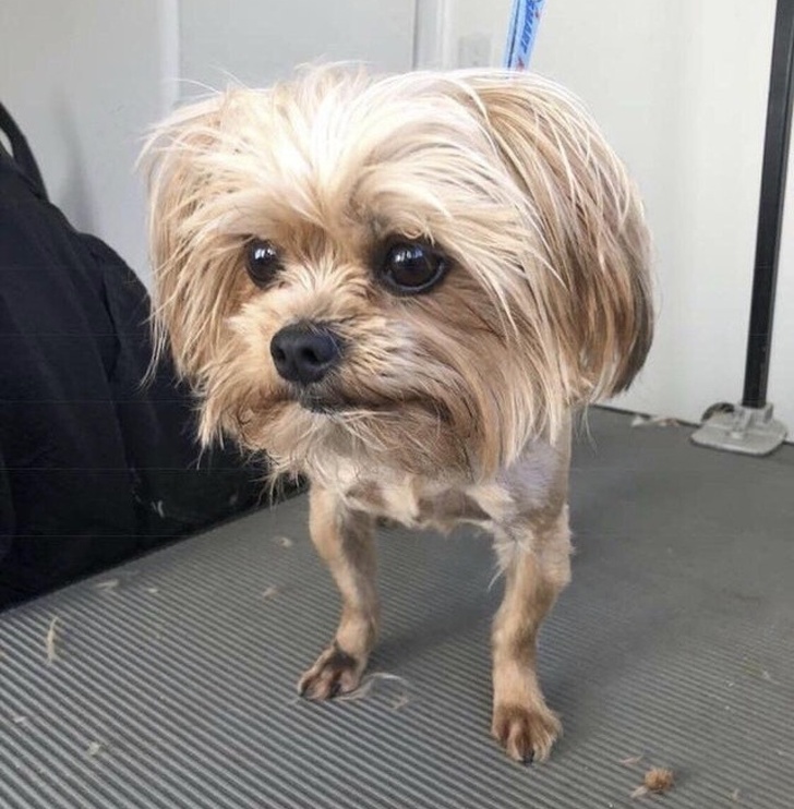 Эти 25 фотографий будут пытаться обмануть ваш мозг, но вы не поддавайтесь эти фотографии будут пытаться обмануть ваш мозг, Эти фотографии сломают вам мозг.