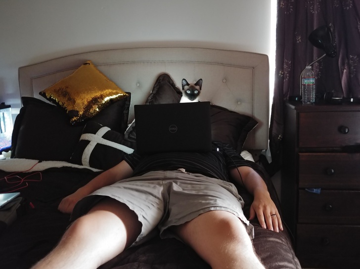 Эти 25 фотографий будут пытаться обмануть ваш мозг, но вы не поддавайтесь эти фотографии будут пытаться обмануть ваш мозг, Эти фотографии сломают вам мозг.