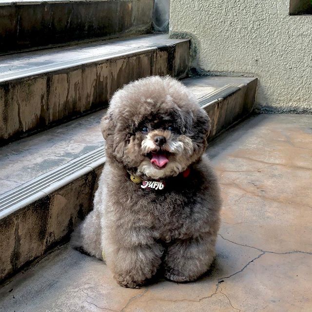 117508867 227140061921193 1595762436338067917 n