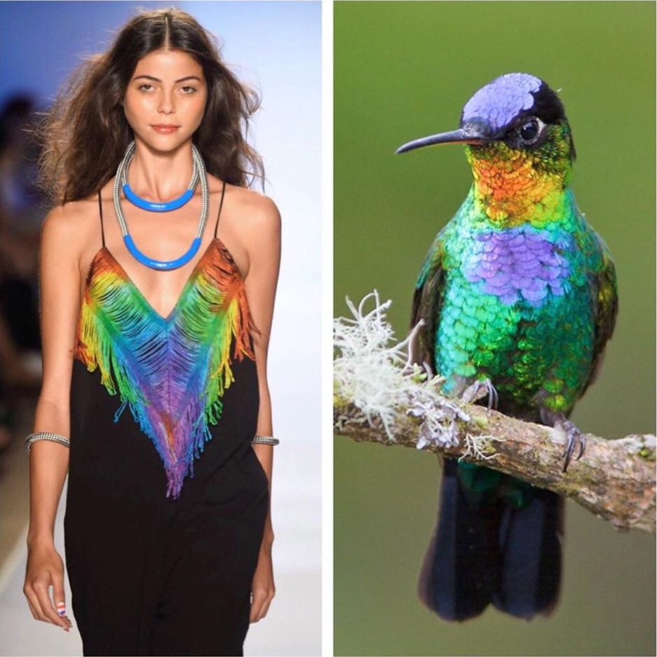 118348631 616266915757844 5696343458987243206 n