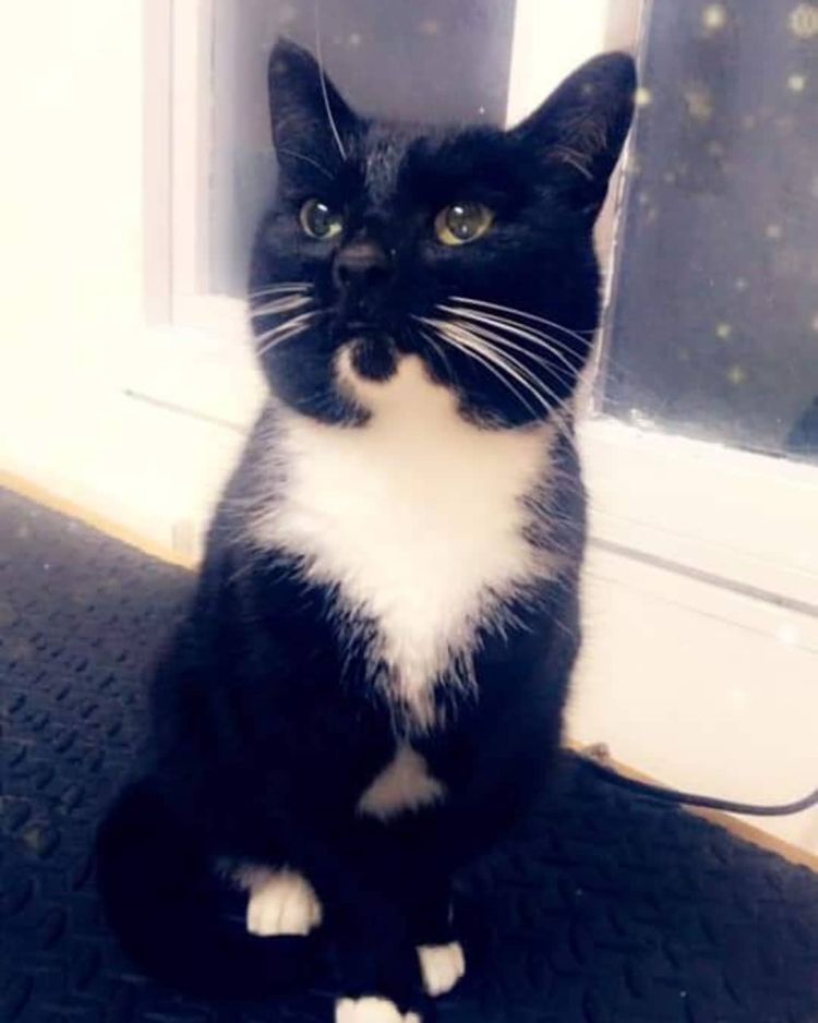 123409610 817456689086422 7097250422901907189 n 0