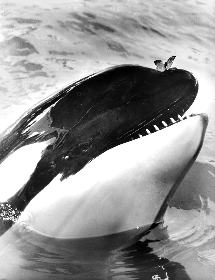 14f9390b6aee26d0e55869363e2acdf0