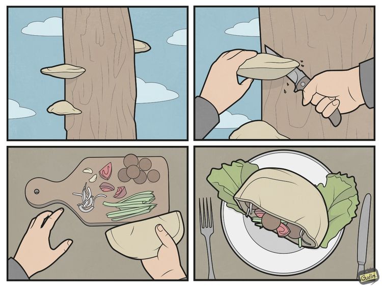 04-10-43-1618991024866778021