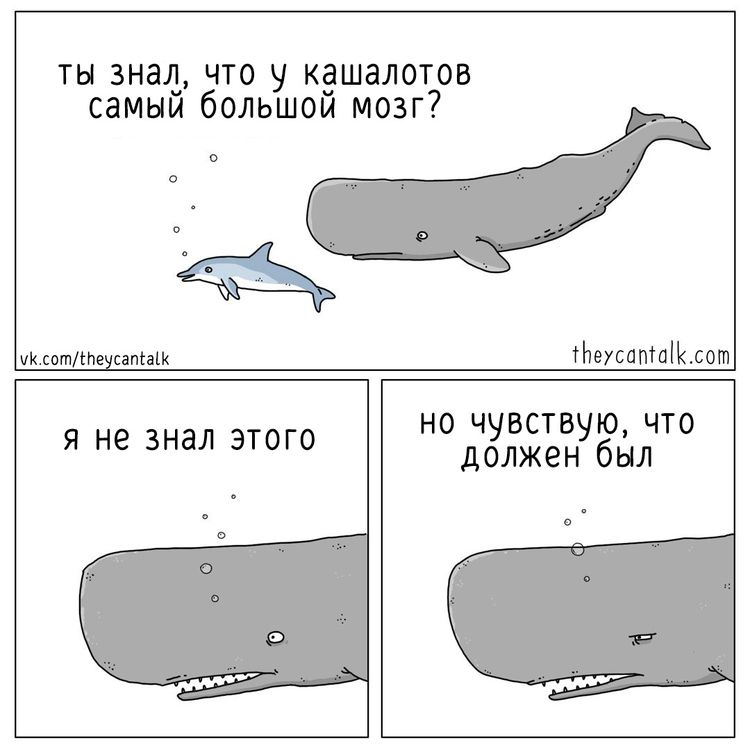 04-10-51-16190779111709186414