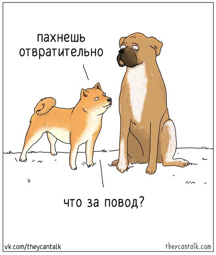 04-10-51-16190779111885377327