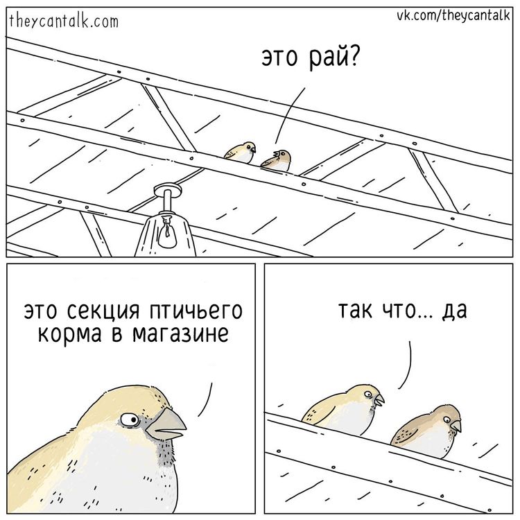 04-10-51-1619077911488251529