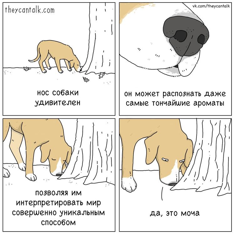 04-10-51-1619077912420582557