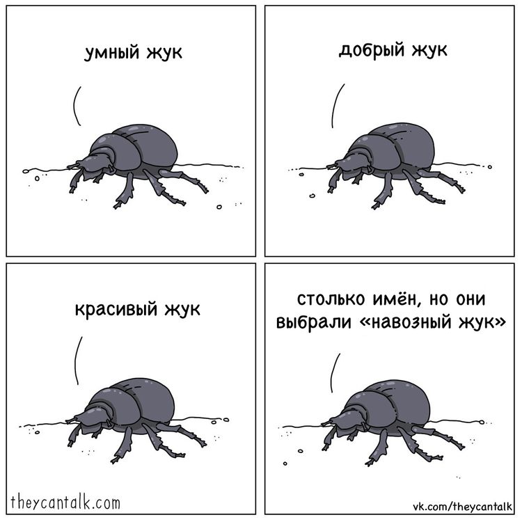 04-10-51-1619077912937894238