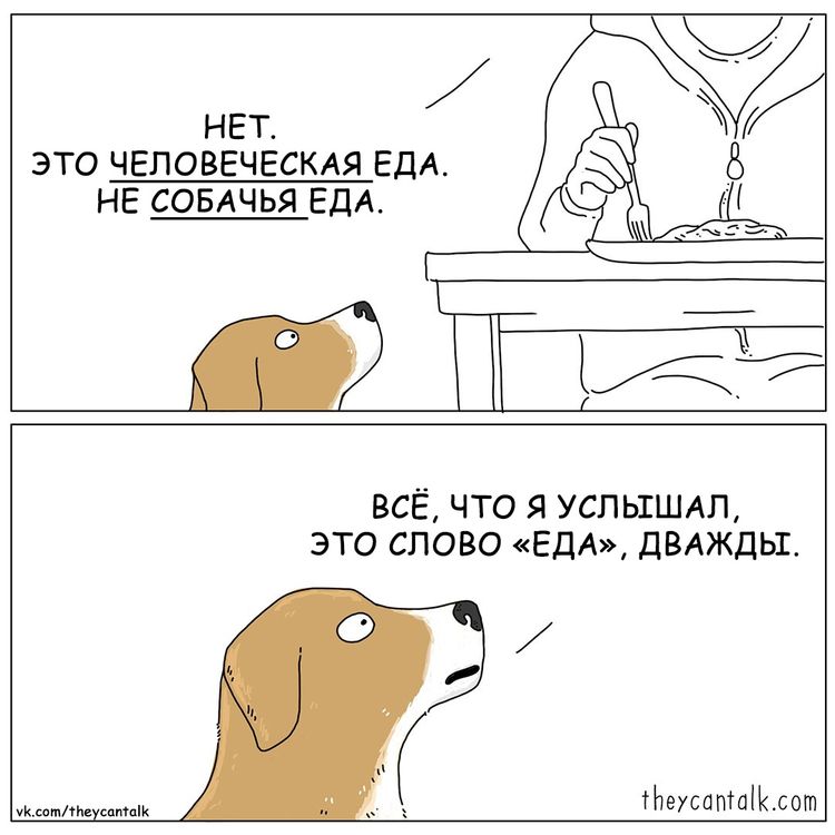 04-10-51-16190779131882269219