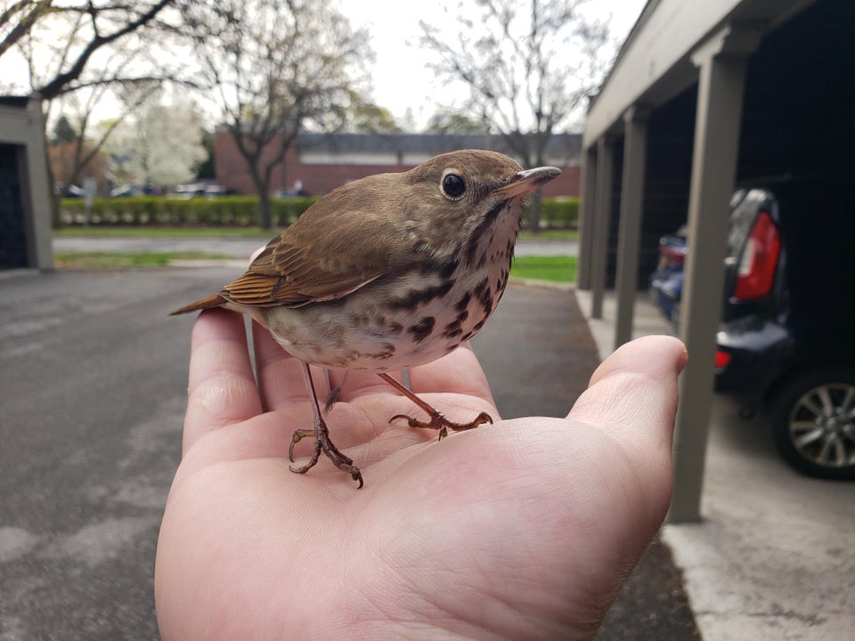 04-11-09-16197701562015933396