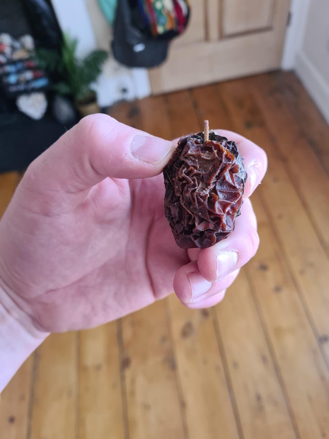 04-11-09-16197701641540414238