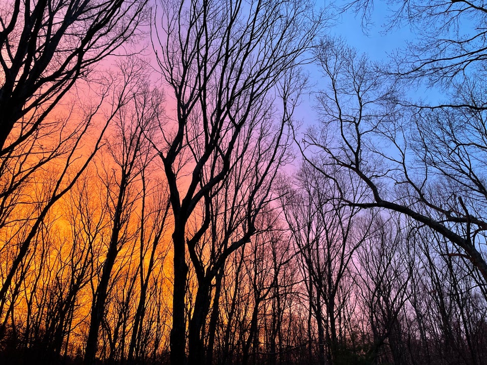 04-11-09-1619770185817771982