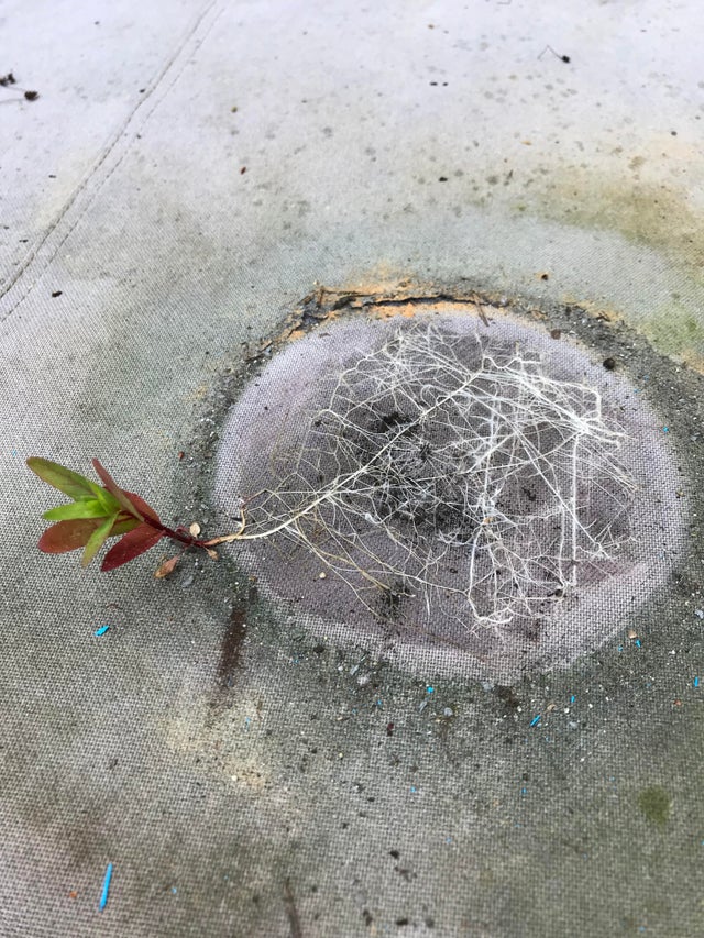 04-11-10-1619770200571851301