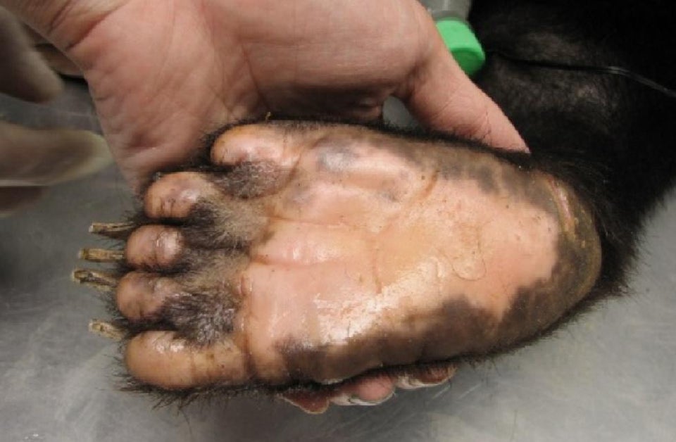 04-11-10-1619770206117869499