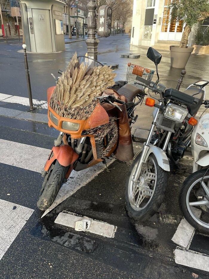 04-11-24-16196846731738211029