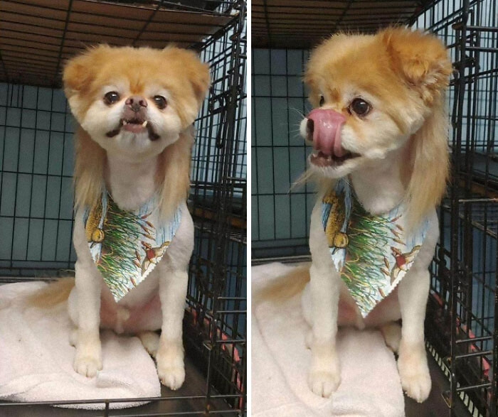 04-11-30-16188210371327906048