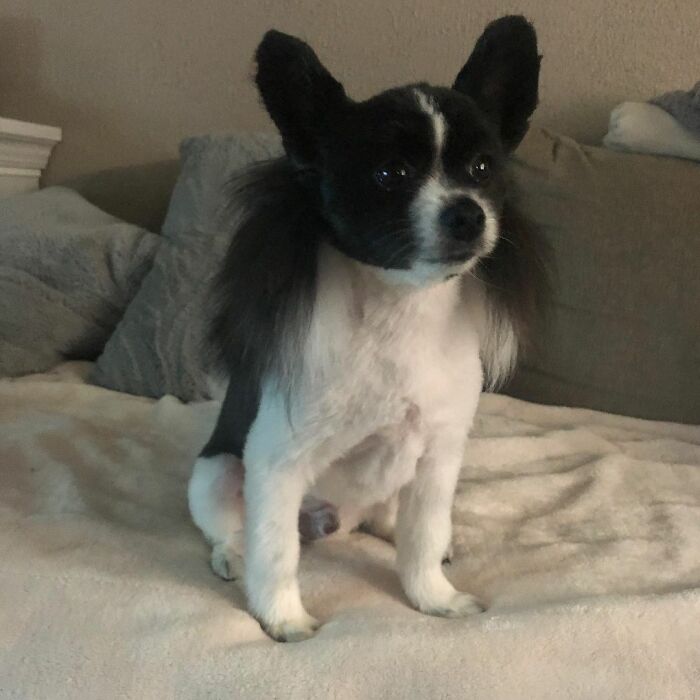 04-11-30-16188210381865749943