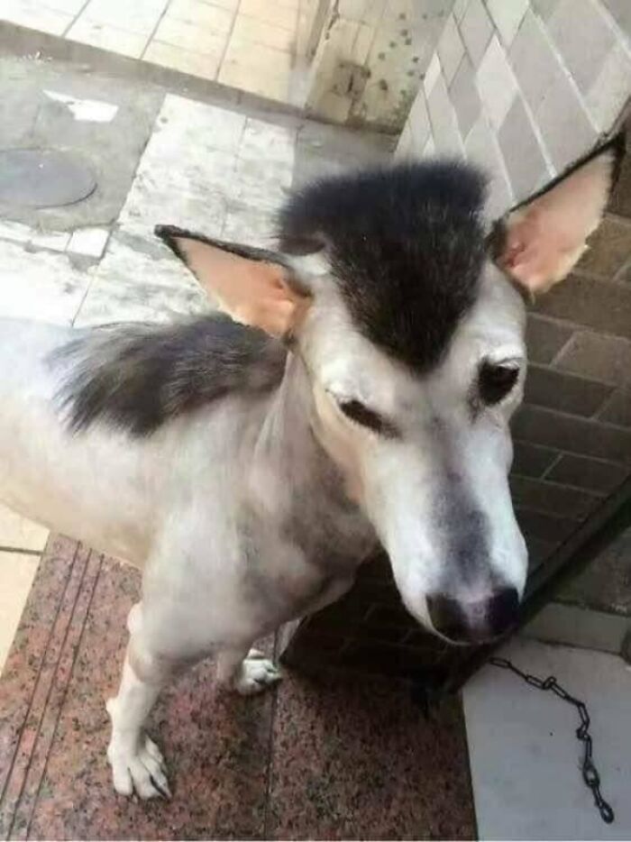 04-11-30-1618821038878853334