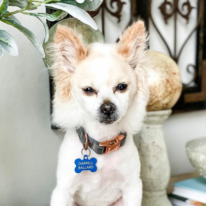 04-11-30-1618821041787749182