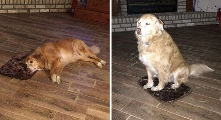 04-11-59-1618477166774159150