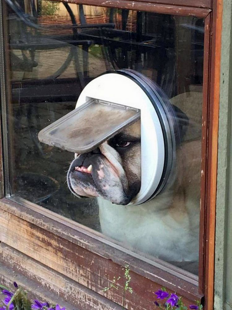 04-11-59-1618477194598813674