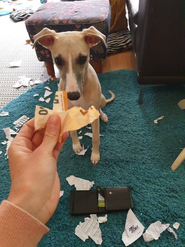 04-12-12-1619773975133612035