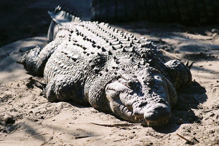 04-12-15-1618996554765258275