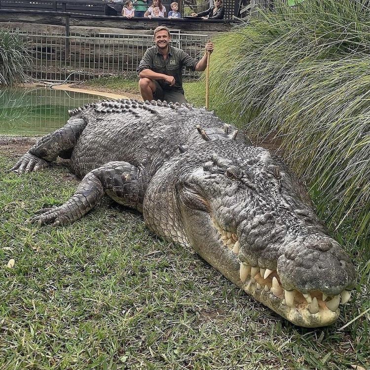 04-12-16-161899656995270684