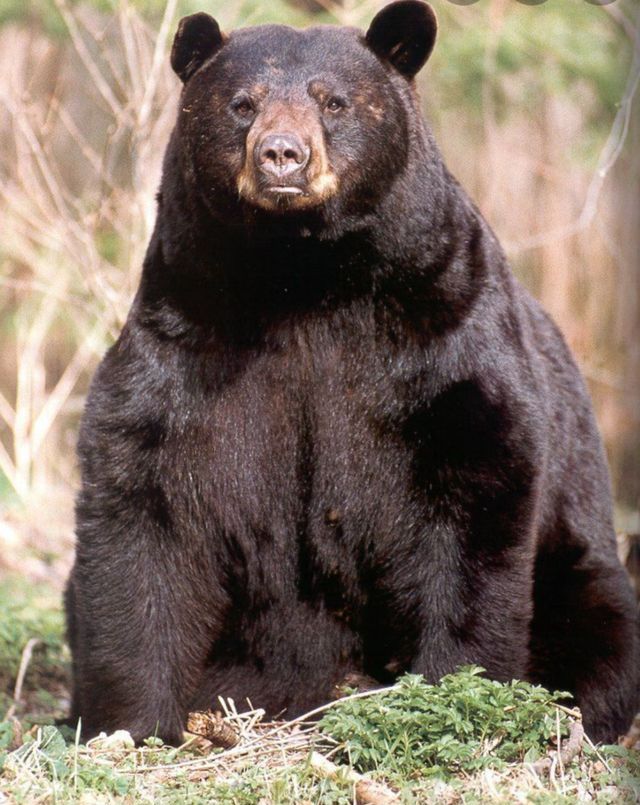 04-12-16-1618996576706810934