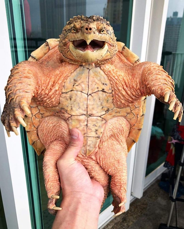 04-12-16-16189965901053035808