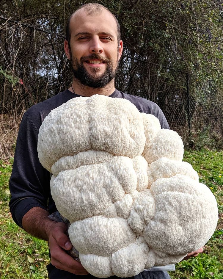 04-12-16-1618996598181740535