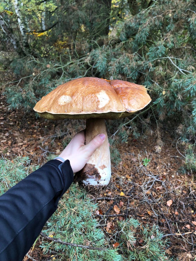 04-12-16-16189966141696301485