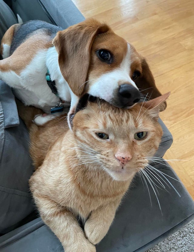 04-12-26-16189107991986309213