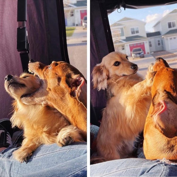 04-12-26-16189108032019668181