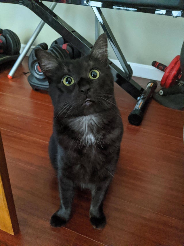 04-12-26-16189108101997978771