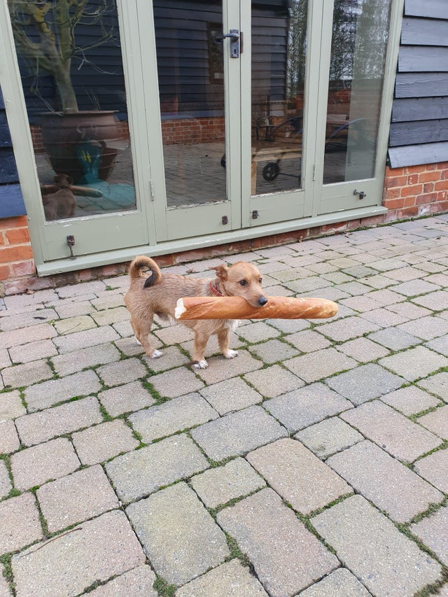 04-12-26-16189108151926591773