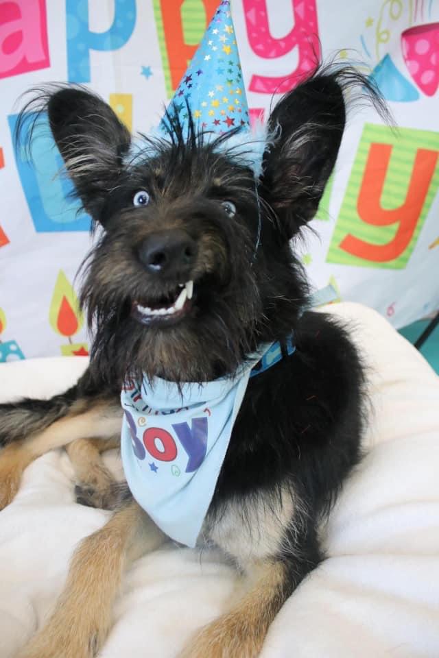 04-12-27-16189108251967609848