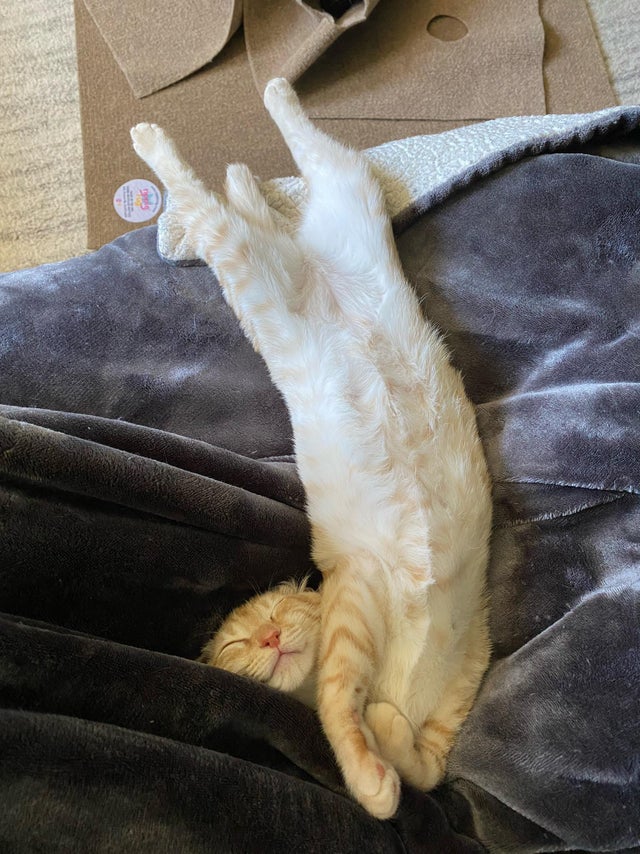 04-12-27-16189108291329114898