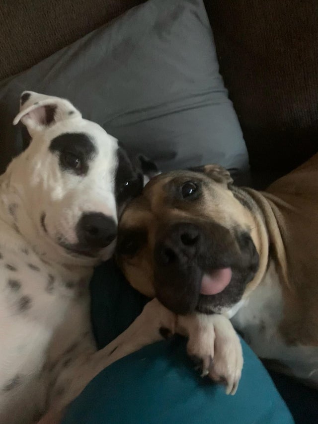 04-12-27-16189108461874274621