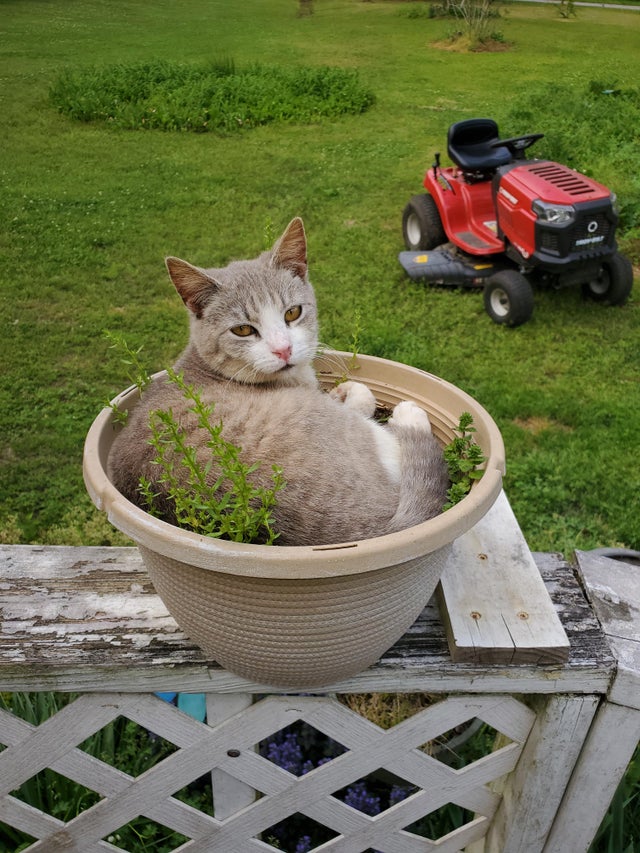 04-12-27-16189108531055625702