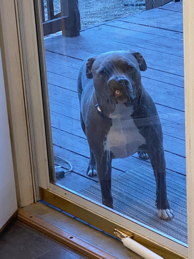 04-12-27-1618910867538376147