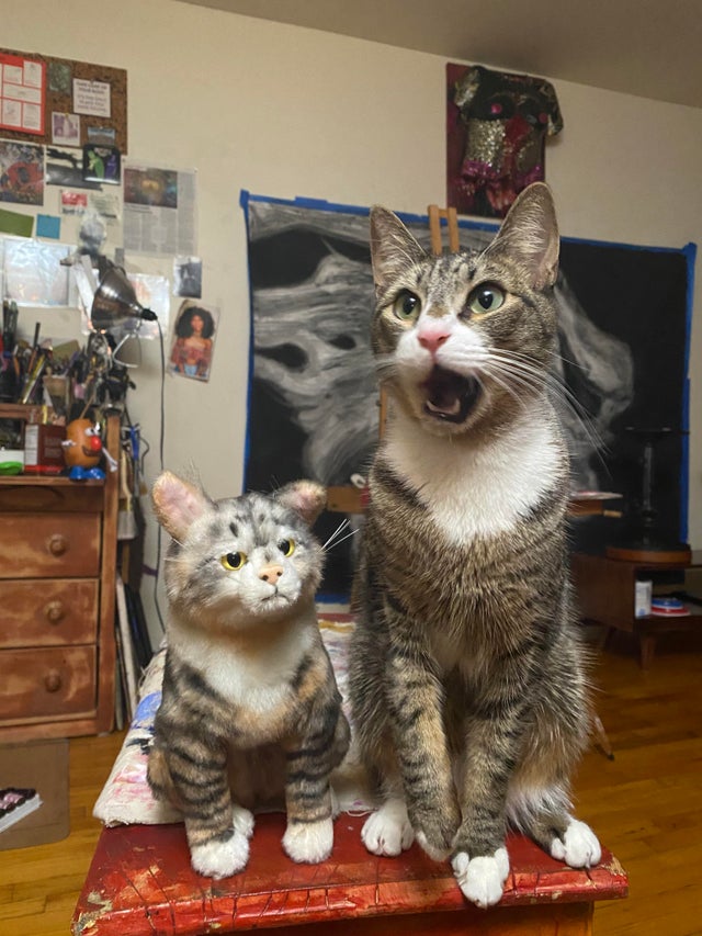 04-12-28-1618910886743457578