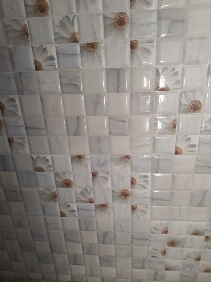 04-12-29-16190837881546111237