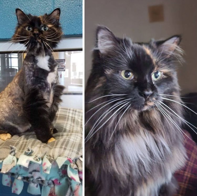 04-12-30-16196886311251931831