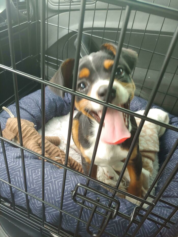 04-12-30-16196886311274831386